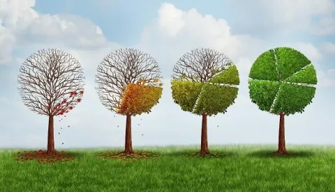 Resilience and recovery