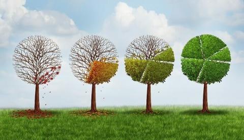 Resilience and recovery